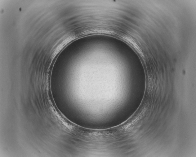 X0000087020898200704301311