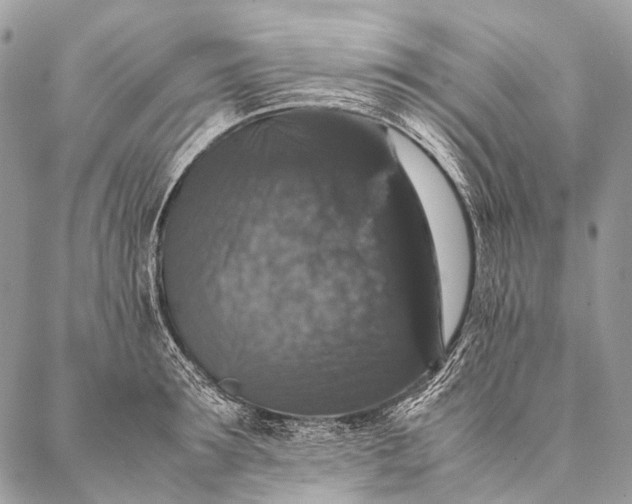 X0000087020899200704301311