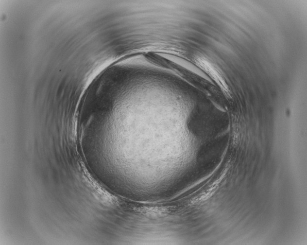 X0000087020900200704301311