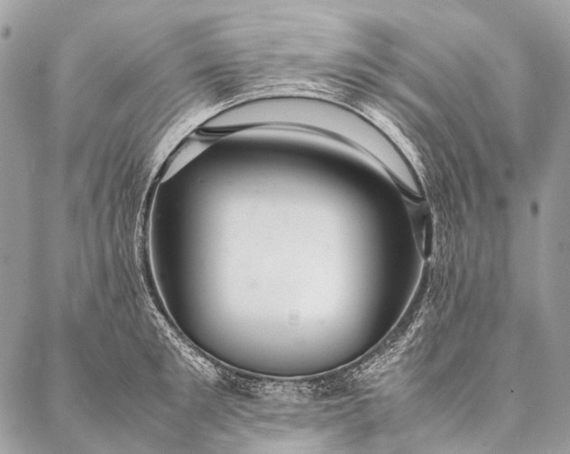 X0000087020901200704301311