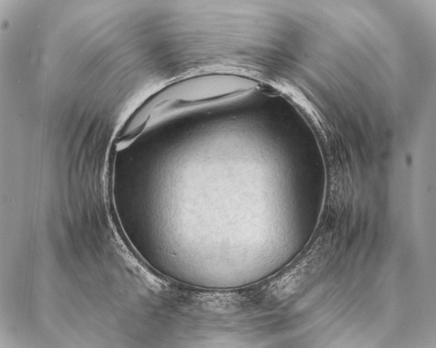 X0000087020902200704301311