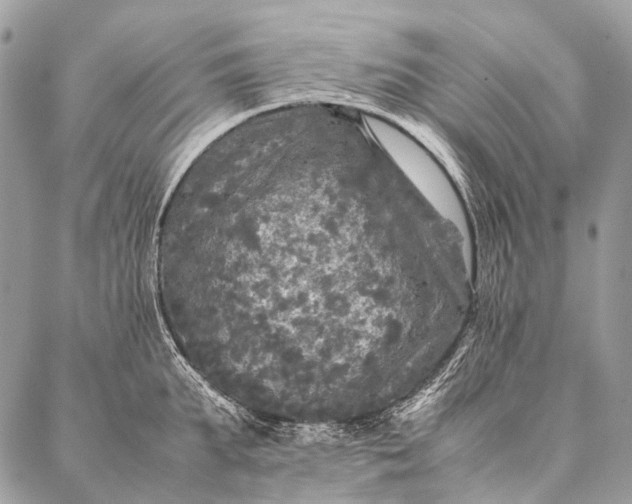 X0000087020903200704301311