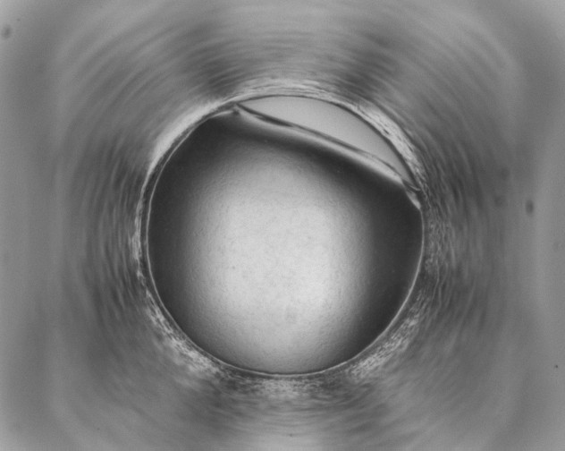 X0000087020904200704301311