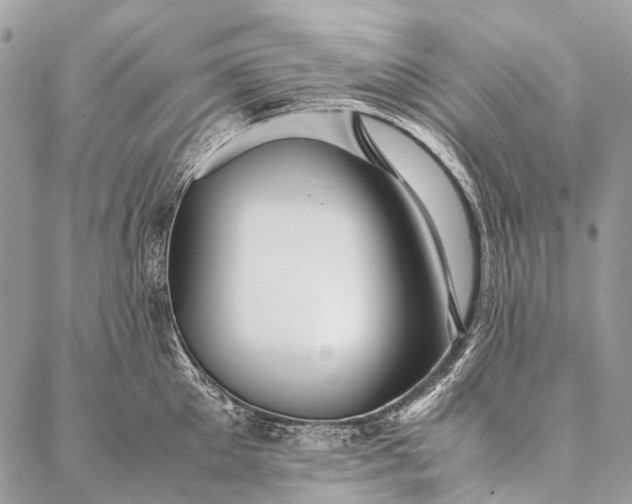 X0000087020905200704301311