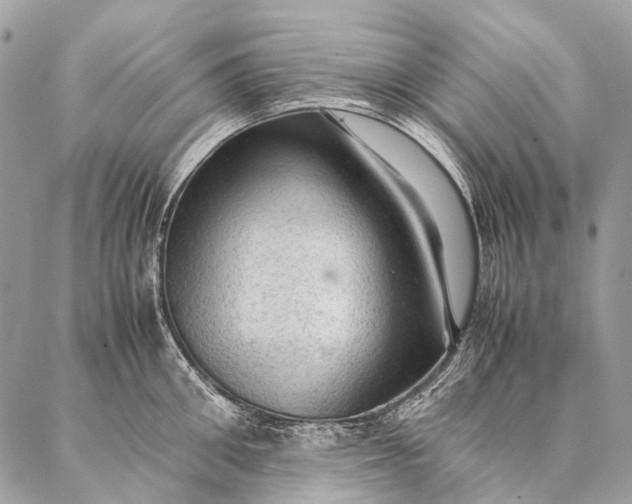 X0000087020906200704301311