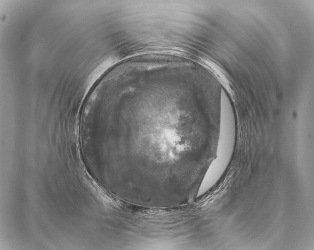 X0000087020907200704301311