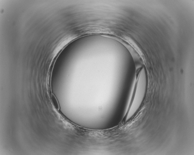 X0000087020909200704301311