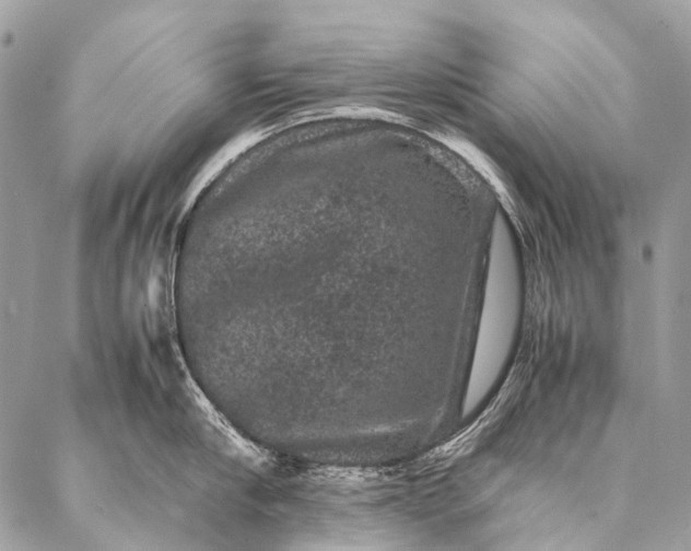 X0000087020910200704301311