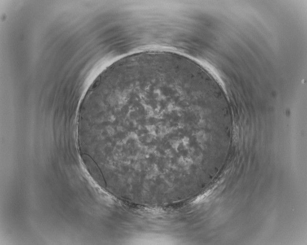 X0000087020911200704301311