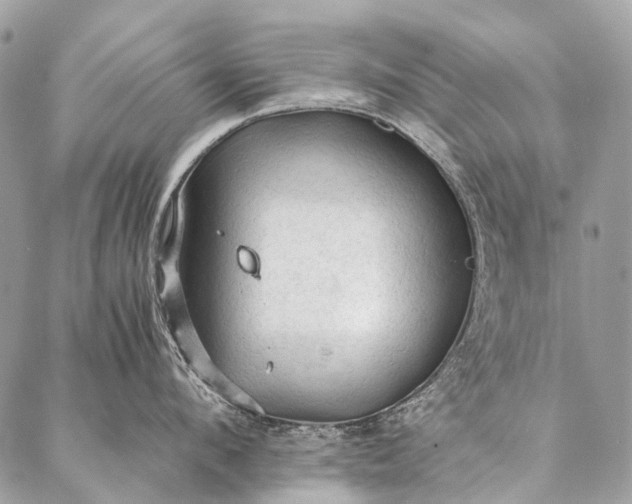 X0000087020912200704301311