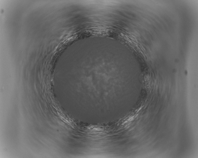 X0000087020913200704301310