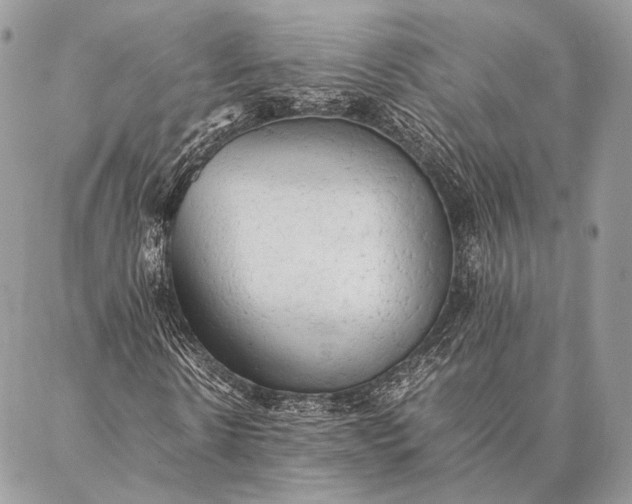 X0000087020914200704301310