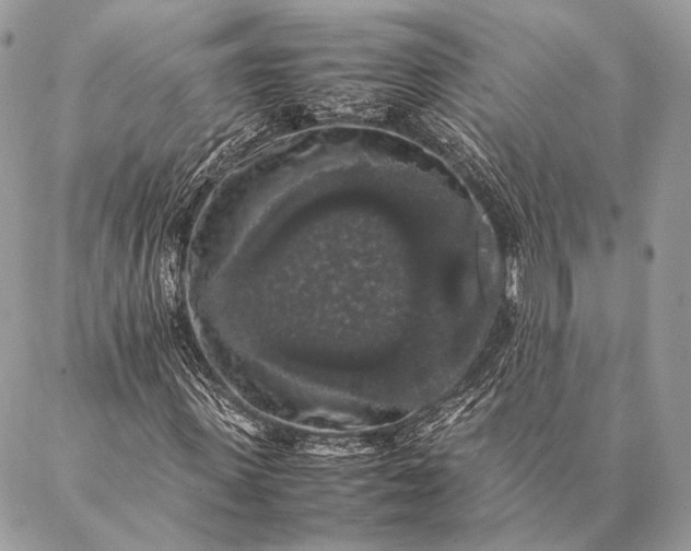 X0000087020915200704301310