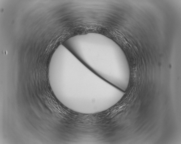 X0000087020916200704301310