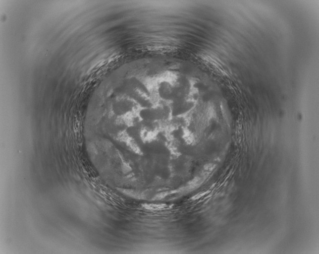 X0000087020917200704301310