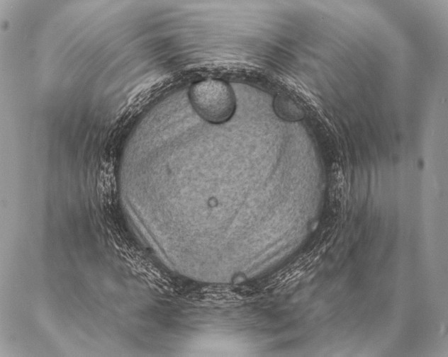 X0000087020918200704301310