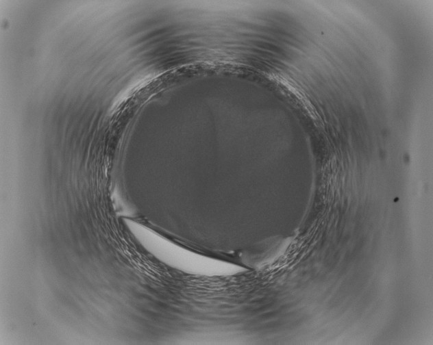 X0000087020919200704301310