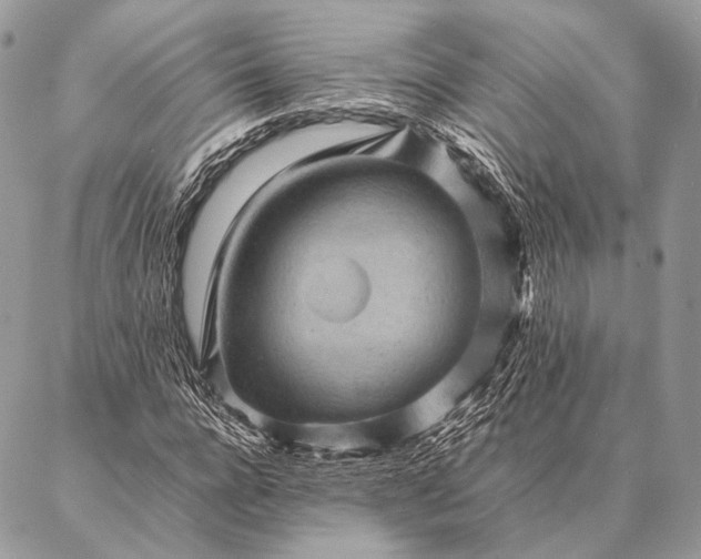 X0000087020920200704301310