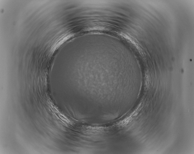 X0000087020921200704301310