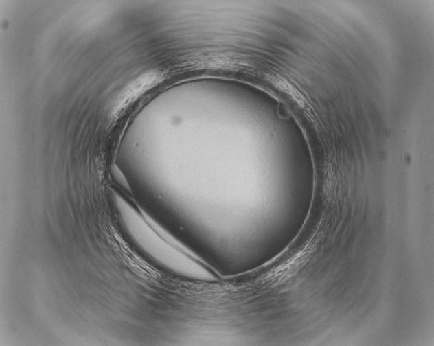 X0000087020922200704301310