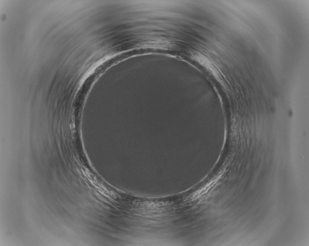 X0000087020923200704301310