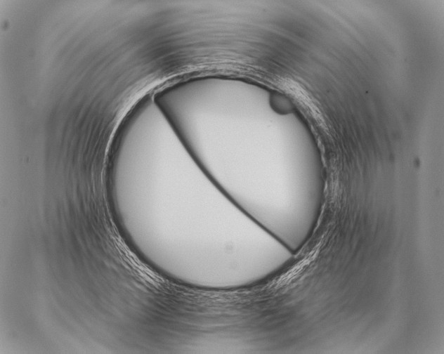 X0000087020924200704301310