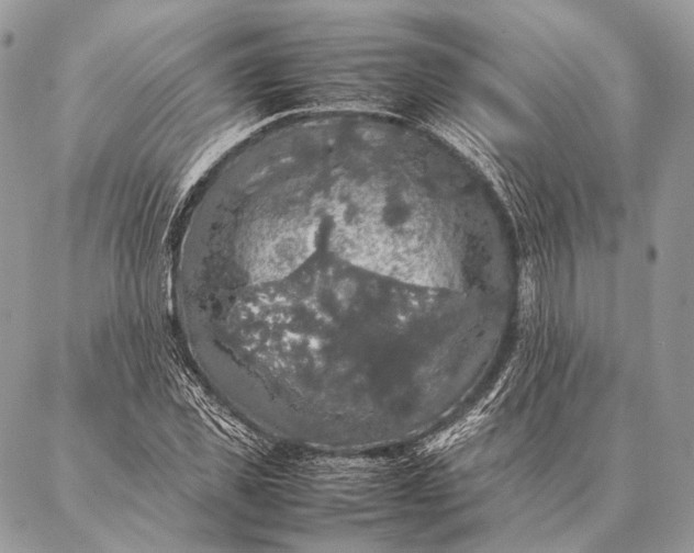 X0000087020925200704301310