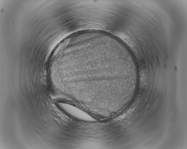 X0000087020926200704301310