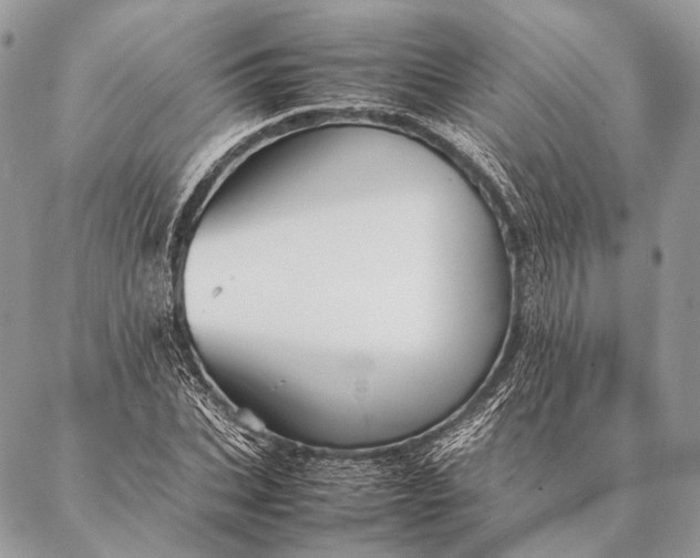 X0000087020927200704301310