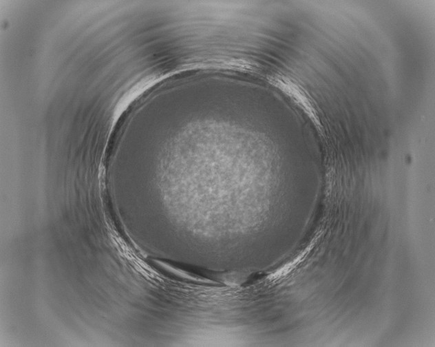 X0000087020928200704301310