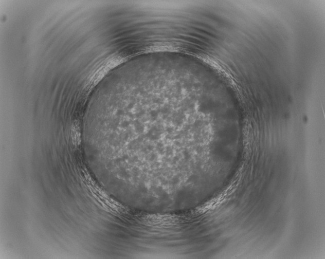 X0000087020929200704301310