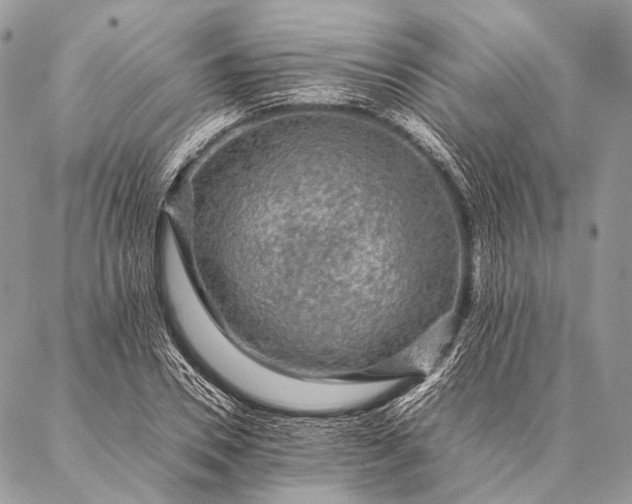 X0000087020930200704301310