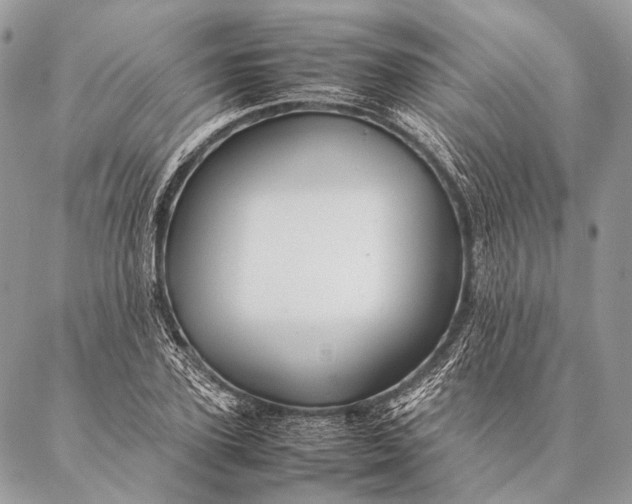 X0000087020931200704301310