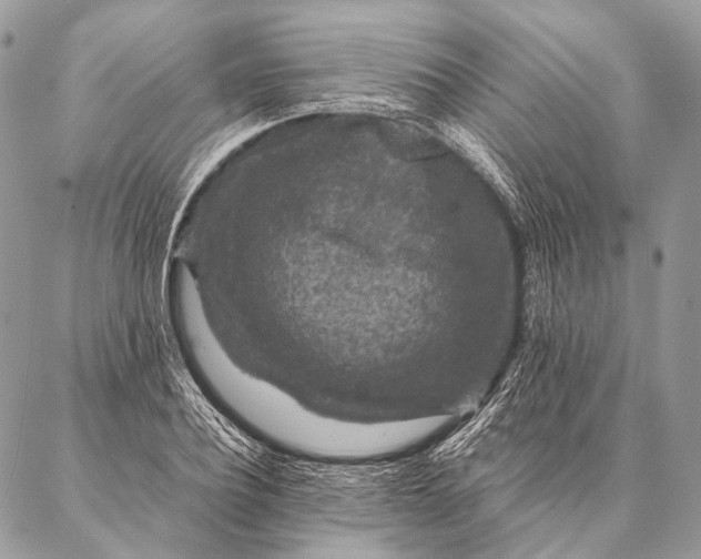 X0000087020932200704301310