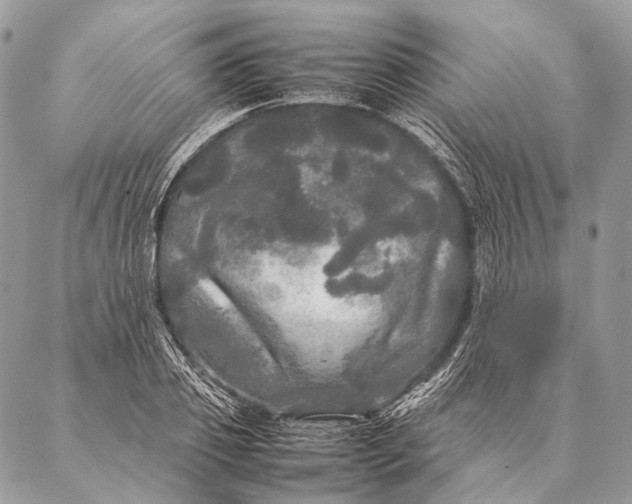 X0000087020933200704301310