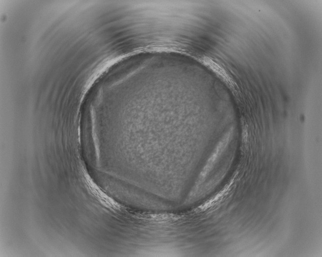 X0000087020934200704301310