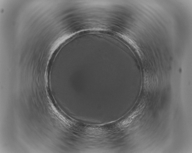 X0000087020935200704301310