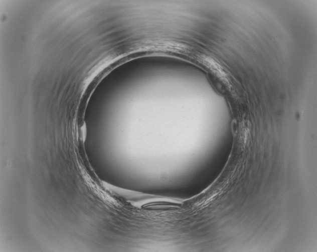 X0000087020936200704301310