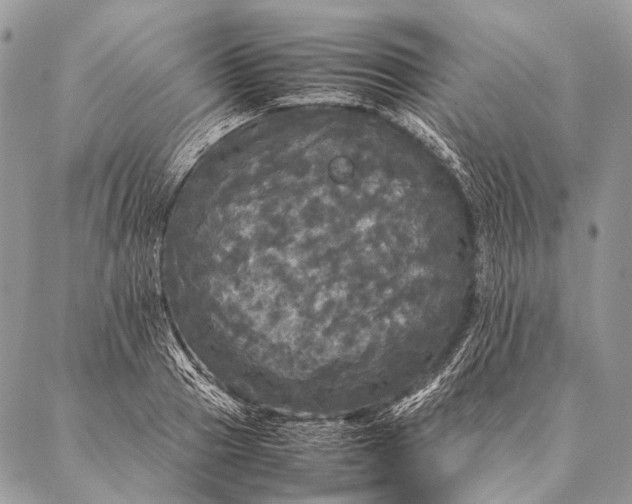 X0000087020937200704301311