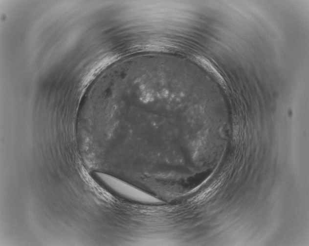 X0000087020938200704301311