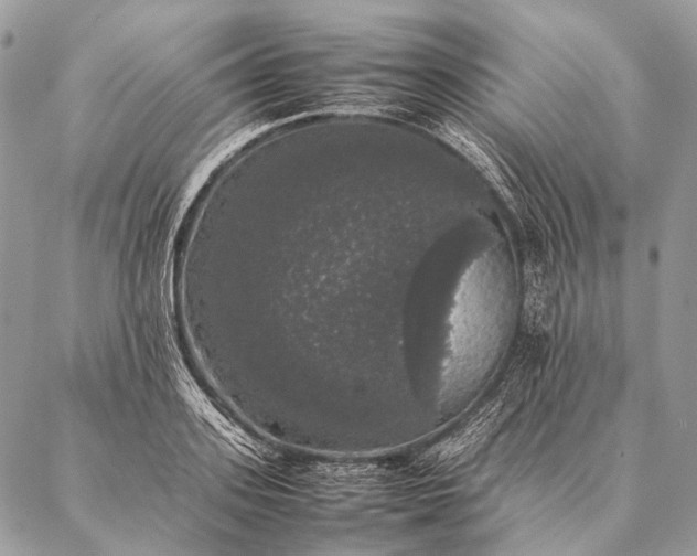 X0000087020939200704301311