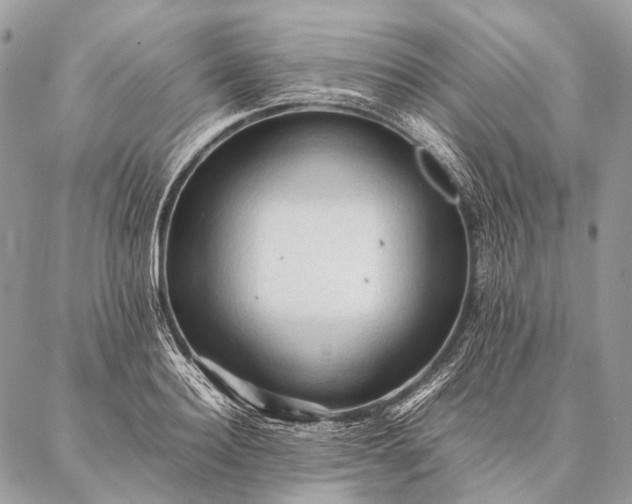 X0000087020940200704301311