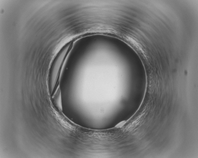 X0000087020942200704301311