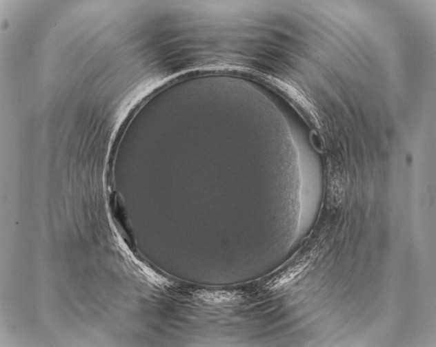 X0000087020943200704301311