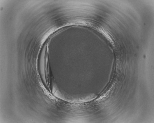 X0000087020944200704301311