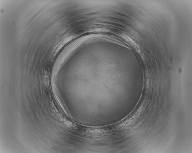 X0000087020945200704301311