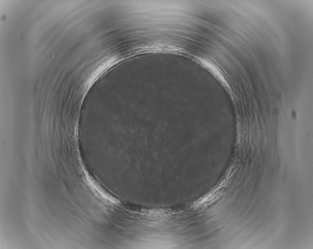 X0000087020946200704301311