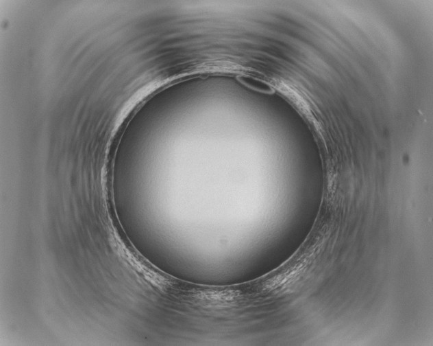 X0000087020947200704301311