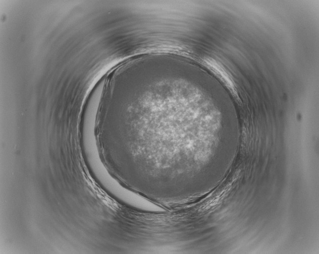 X0000087020948200704301311