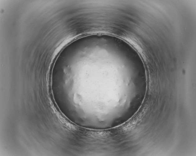 X0000087020949200704301311